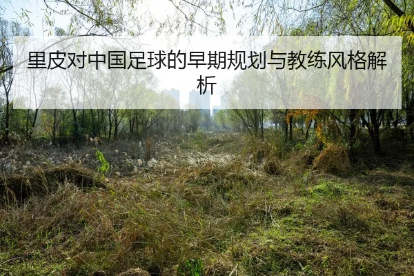 li-pi-dui-zhong-guo-zu-qiu-de-zao-qi-gui-hua-yu-jiao-lian-feng-ge-jie-xi-2-116.jpg